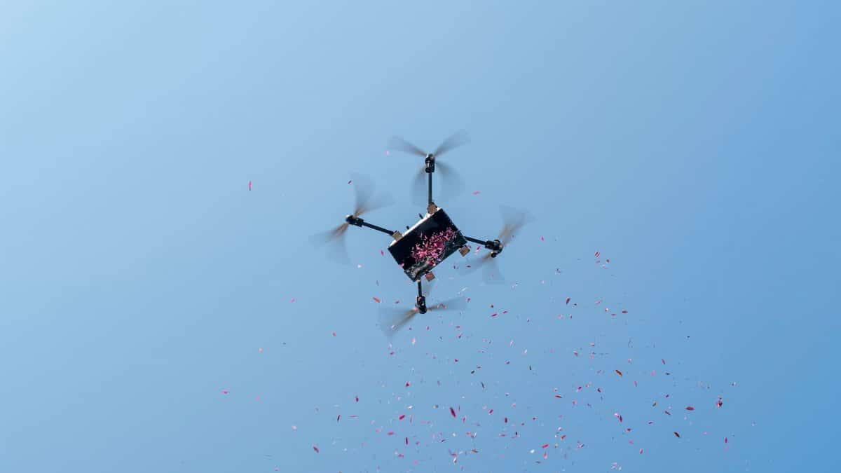 A drone disperses pink petals against a clear blue sky, captured from below.