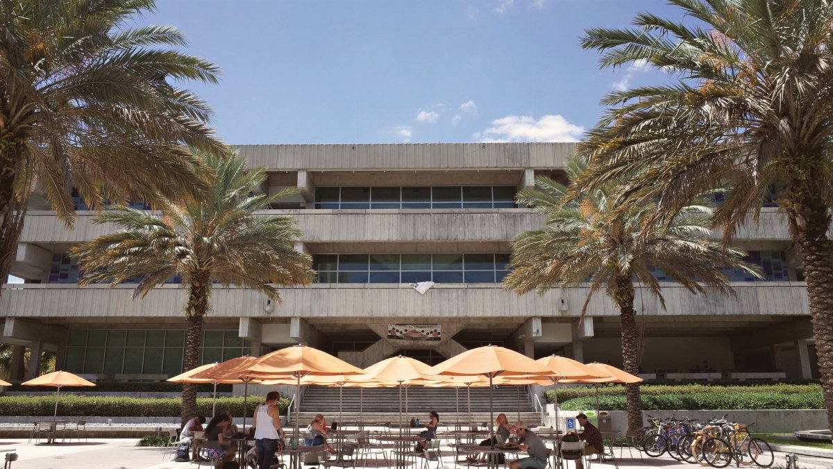 Outdoor scene of university campus life in Coral Gables, Florida featuring students studying under palm trees.