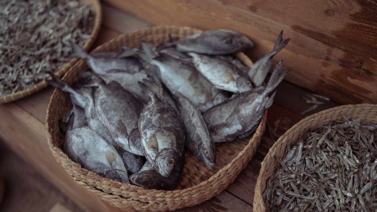 High-quality image of fresh and dried fish arranged in woven baskets on a wooden surface.