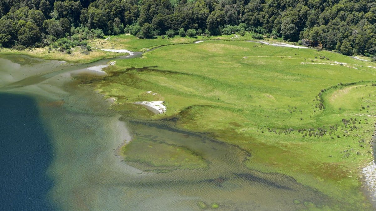 A stunning aerial view showcasing lush greenery and clear waters in Haast, New Zealand.
