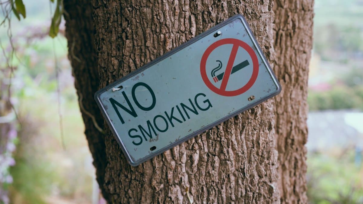 A No Smoking sign affixed to a tree trunk in an outdoor setting.