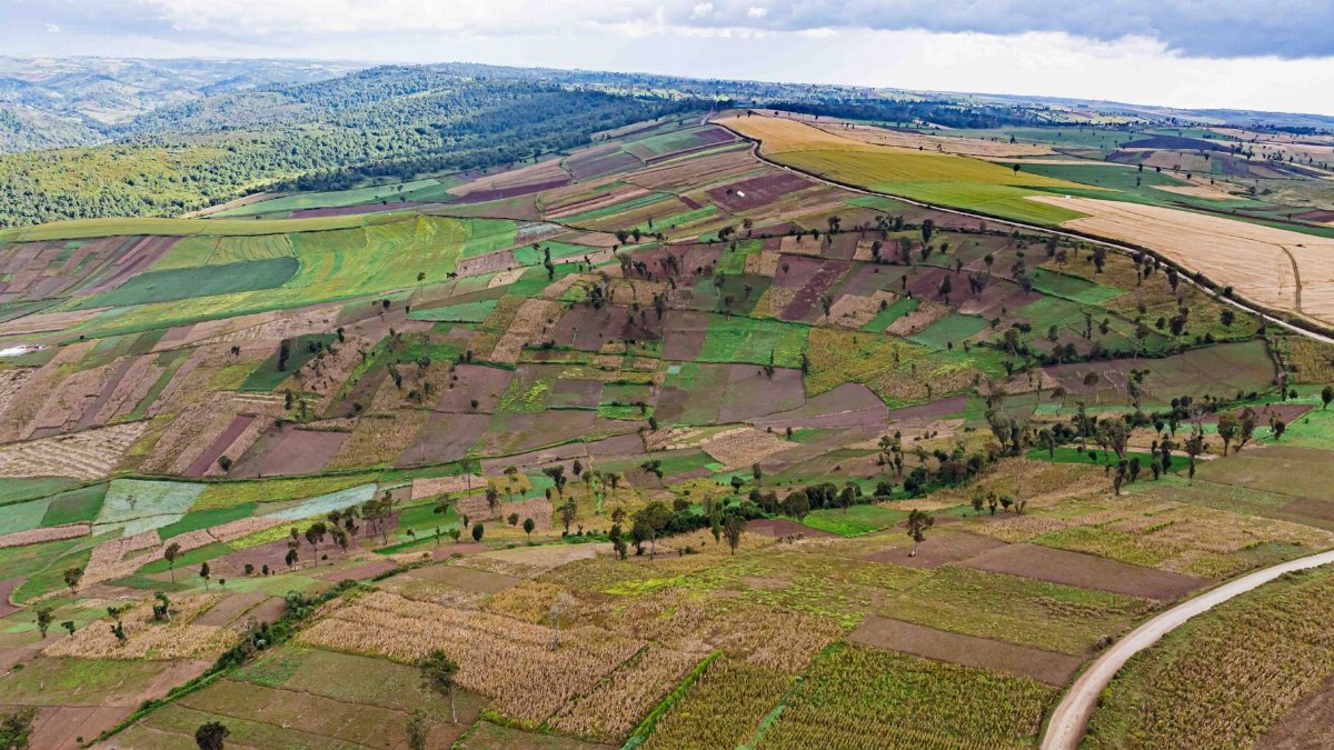 Colorful patchwork of agricultural fields in Mau Narok, Kenya, showcasing diverse crop patterns.