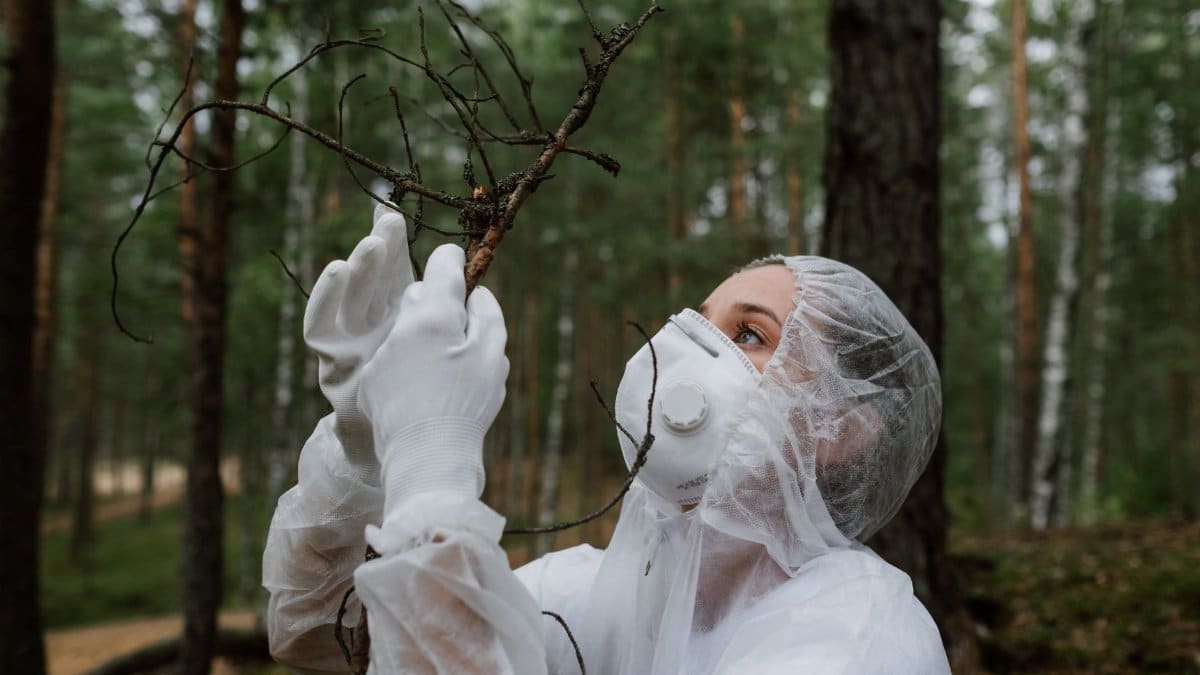 A person wearing a hazmat suit inspects a tree branch in a forest, symbolizing environmental protection.