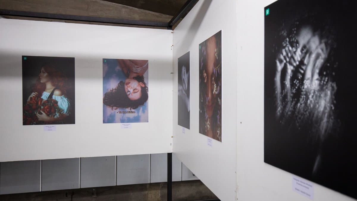 Explore captivating photographs displayed at a contemporary art gallery exhibit.