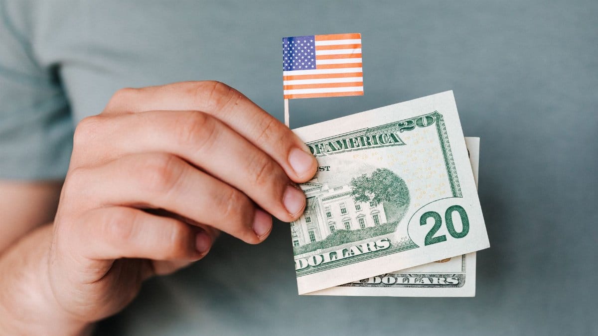 Crop anonymous man demonstrating small paper United States flag and folded twenty dollar banknote