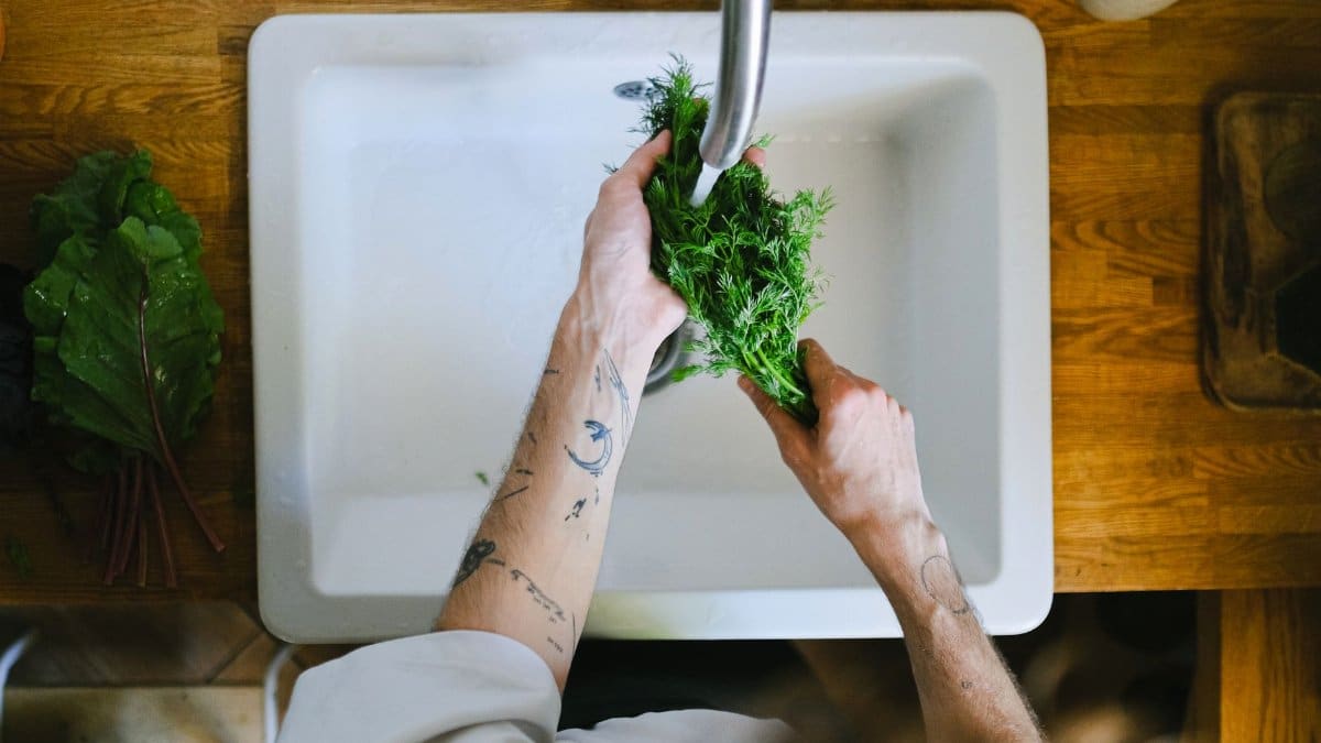 Tattooed hands washing fresh herbs in a kitchen sink, highlighting daily culinary routines.