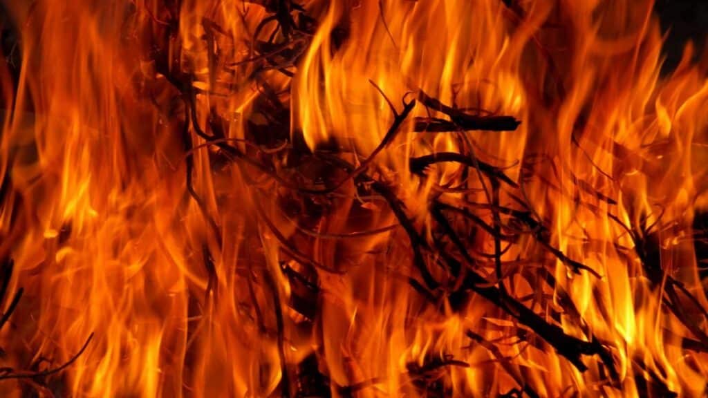 Close-up of a dynamic fire with vivid orange flames engulfing firewood, creating warmth and dramatic heat.