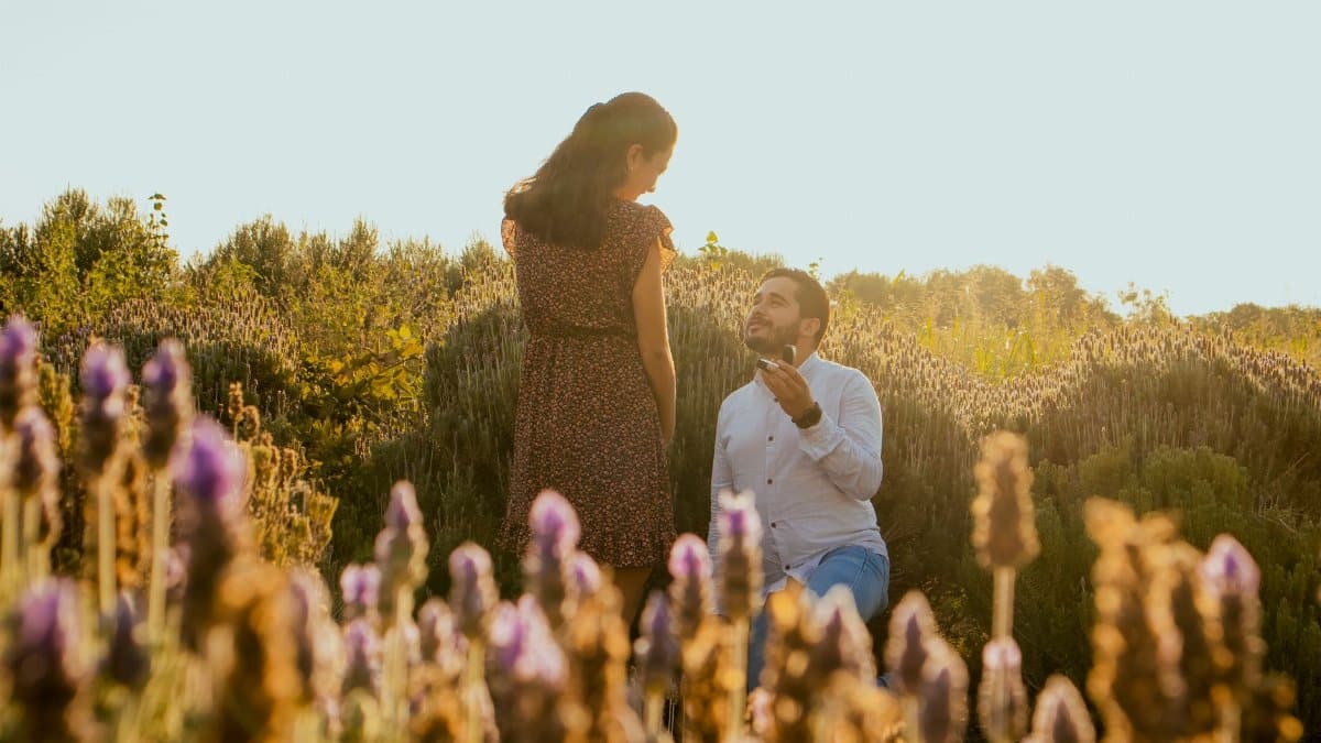 A romantic marriage proposal at sunset in a blooming lavender field, capturing love and commitment.