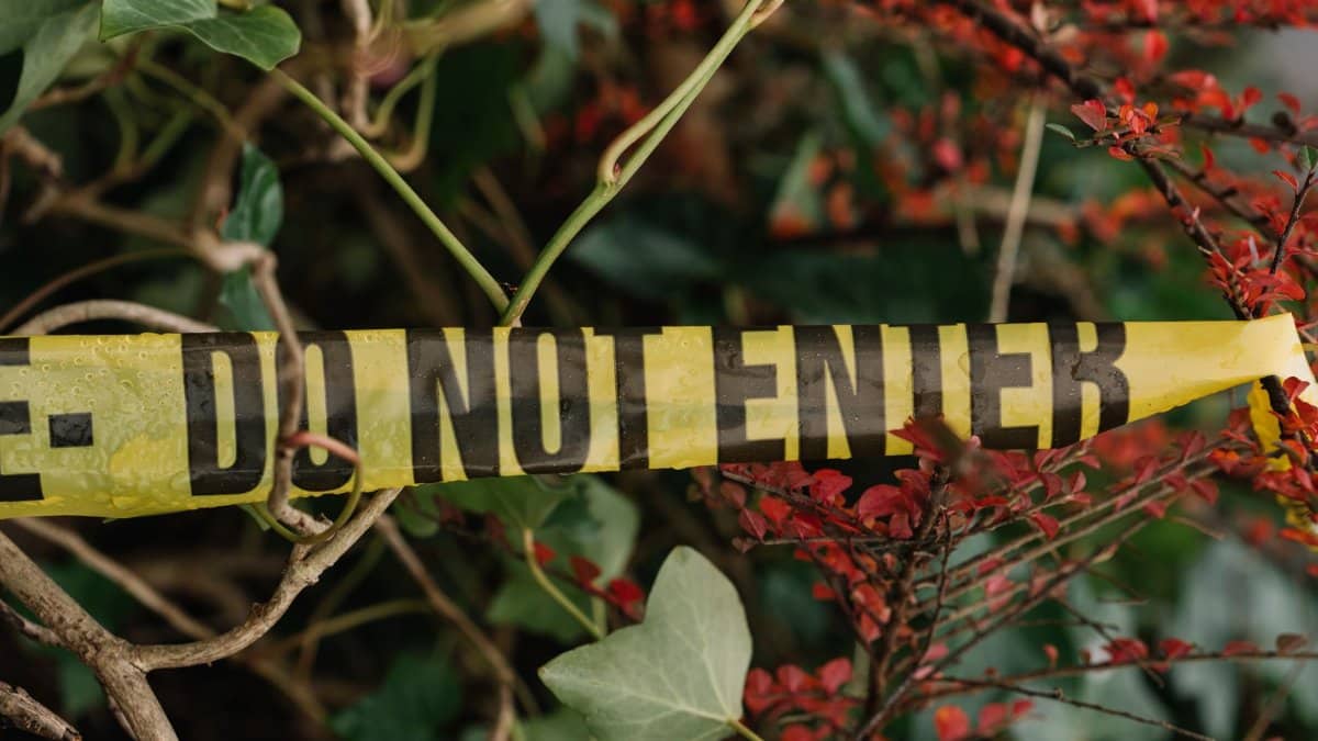 Yellow caution tape stretches across vibrant foliage in an outdoor setting.