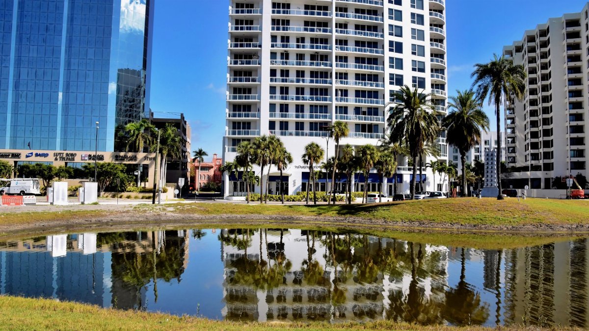 A vibrant urban scene in Sarasota, Florida, featuring buildings and a reflecting pond.