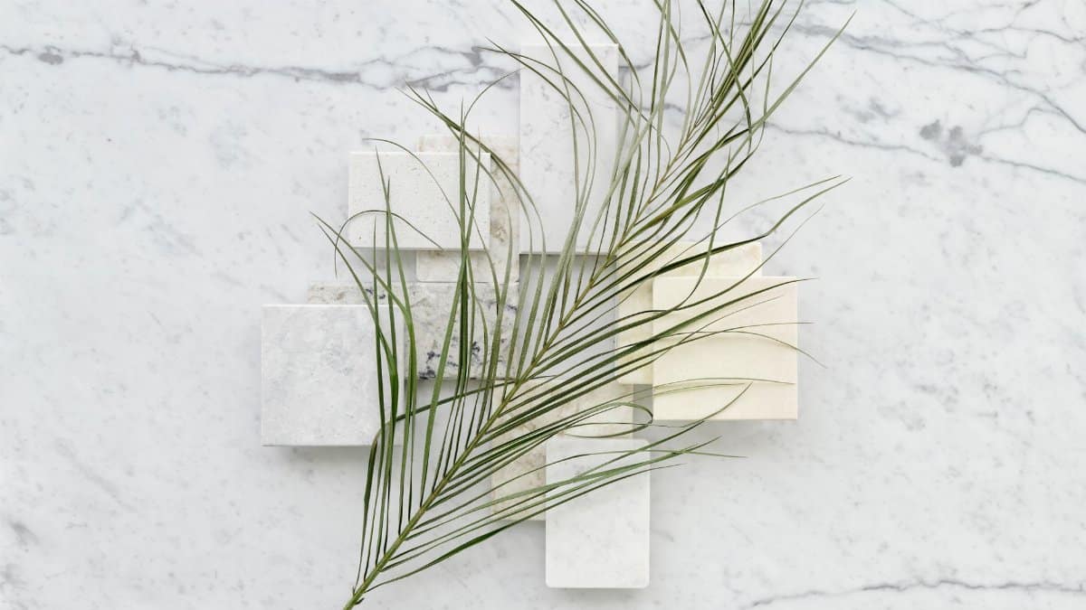 Minimalist composition with geometric tiles and palm leaf on marble surface.