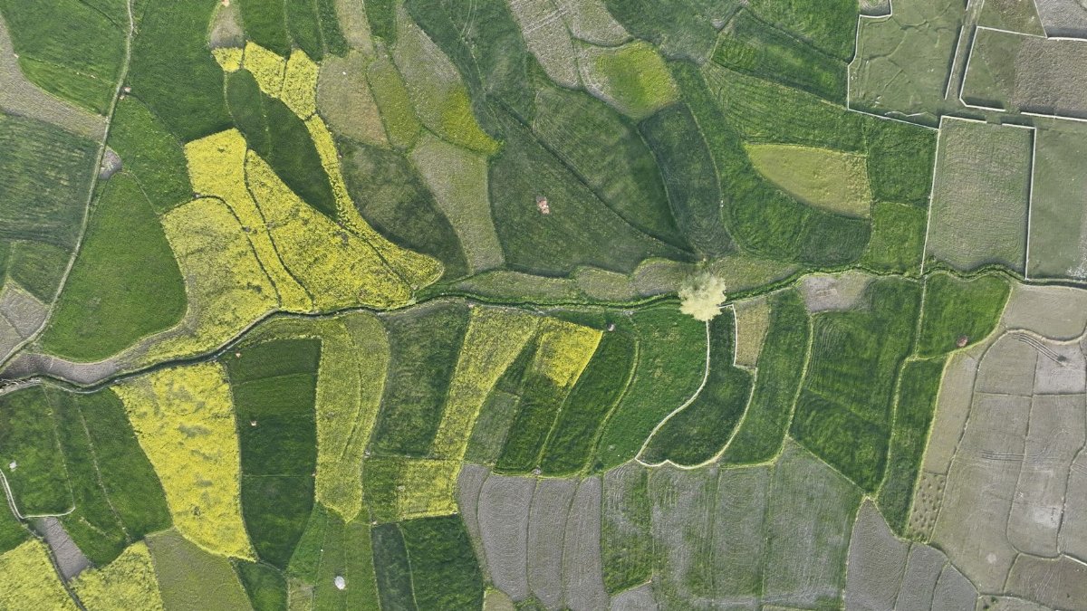 A mesmerizing aerial view of colorful agricultural fields in Kashmir, showcasing diverse crops and patterns.