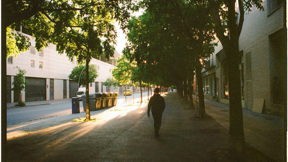 A quiet city street with a lone pedestrian walking under sun-dappled trees in the early morning.