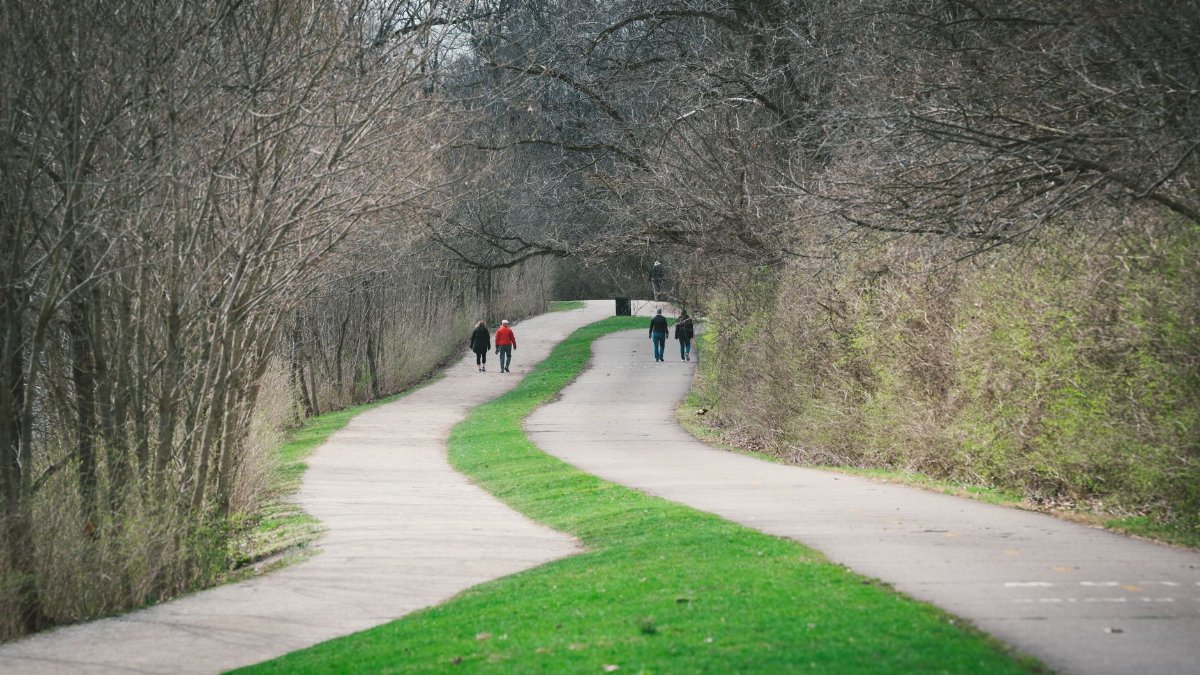 People walking along a winding path in a peaceful park setting during early spring.