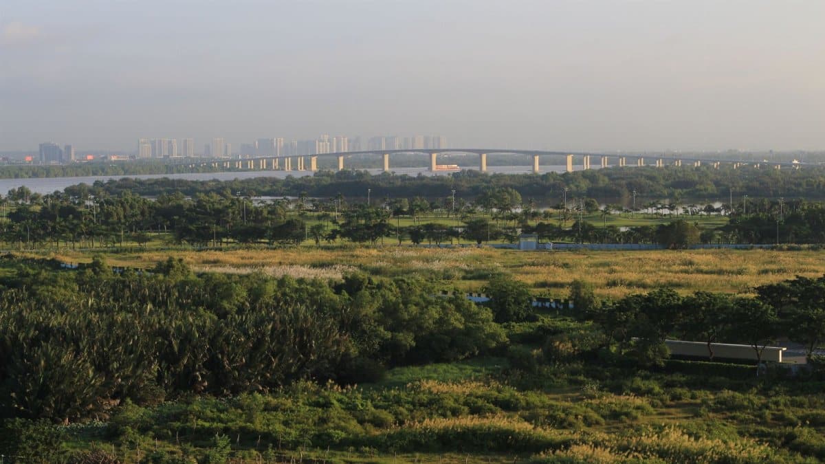 Aerial view of green landscape with bridge and city skyline under a clear sky.