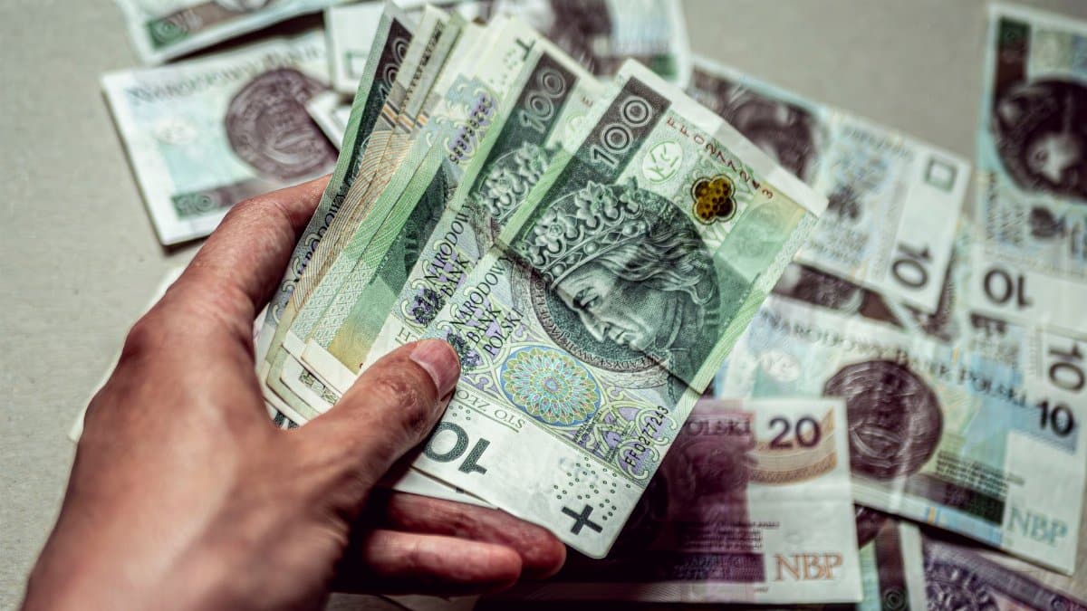 A closeup of a hand holding Polish Zloty banknotes with scattered currency in the background.