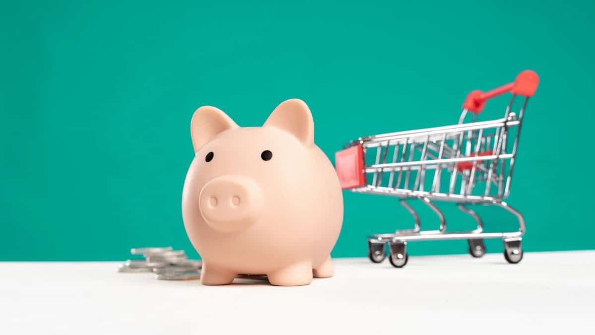 Piggy bank with shopping cart and coins on a white and teal background, symbolizing saving and spending.