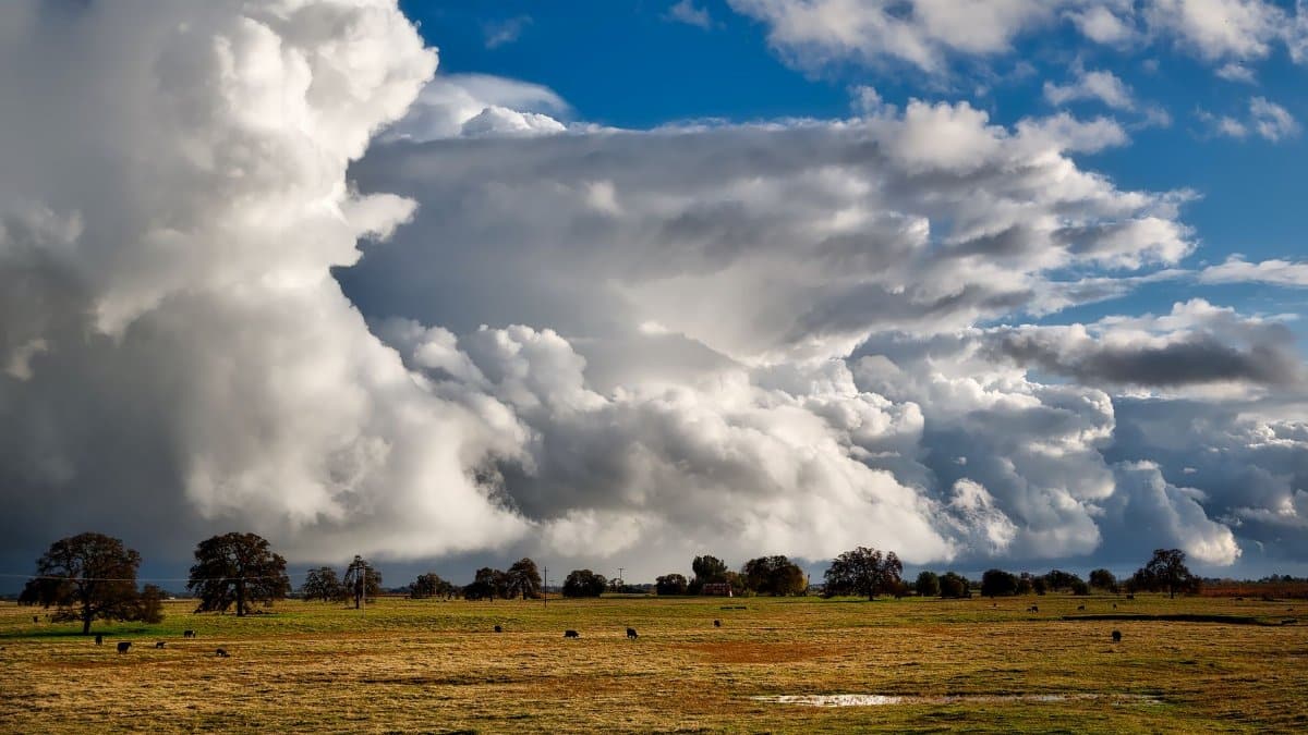 Idyllic rural landscape with large storm clouds gathering over a peaceful pasture.