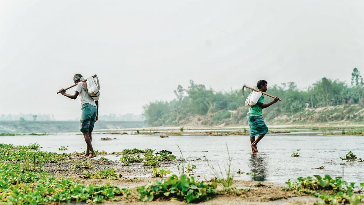 Two farmers crossing a shallow river with tools in an agricultural setting.