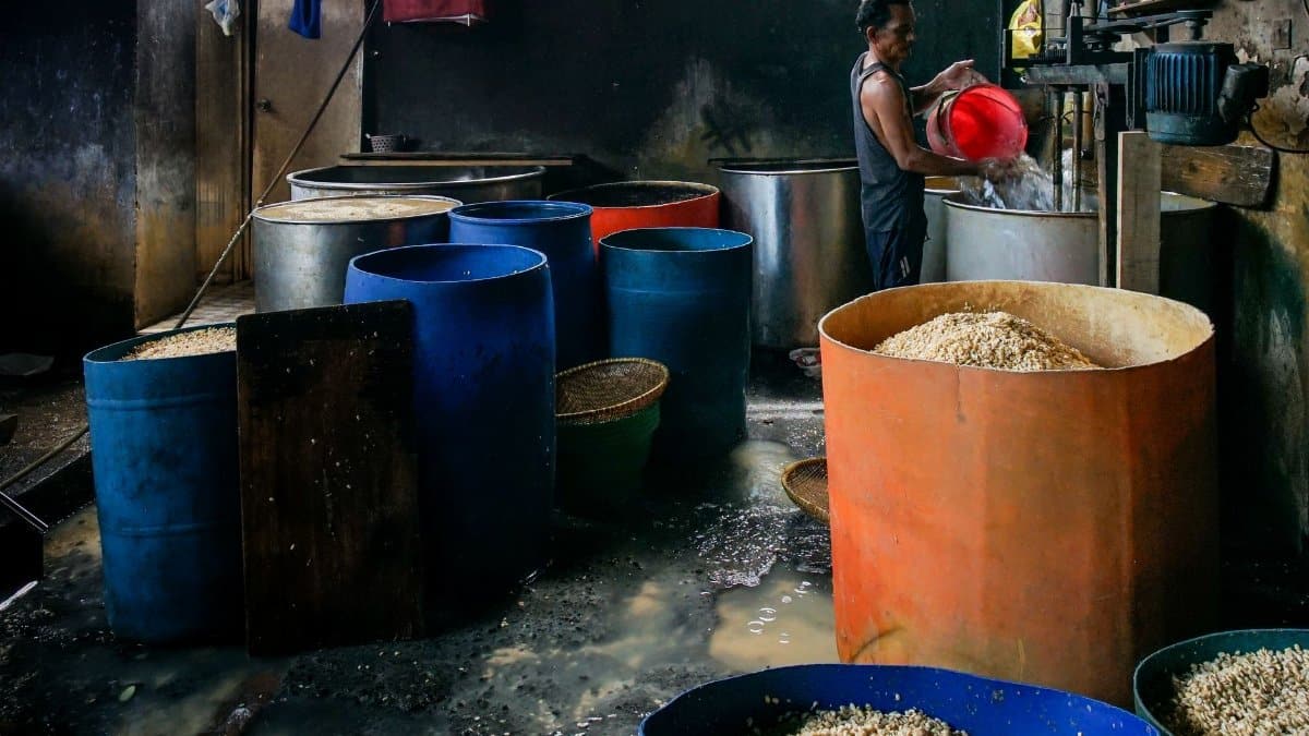 A worker pouring water into large barrels for fermentation in an artisanal industrial setting.