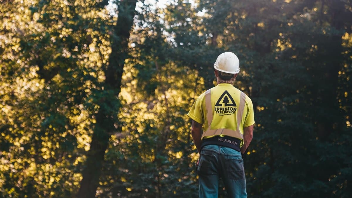A tree service worker stands in a forest wearing a hardhat and safety vest, ready for a day of outdoor work.