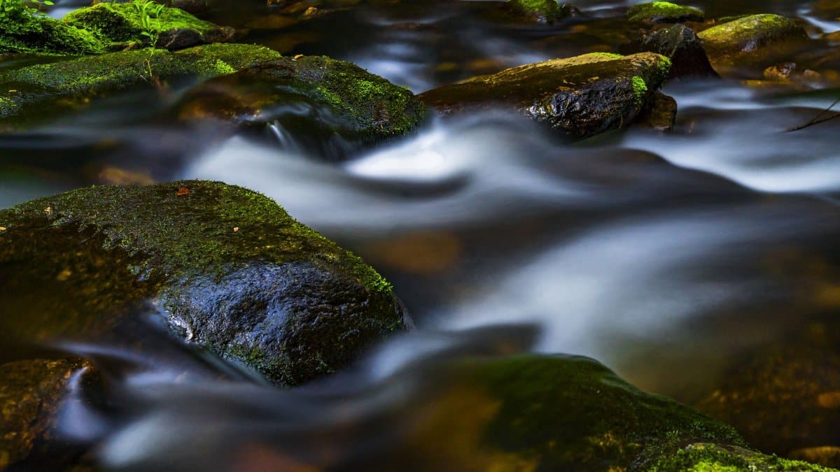 Long exposure capture of a tranquil stream flowing over mossy rocks.
