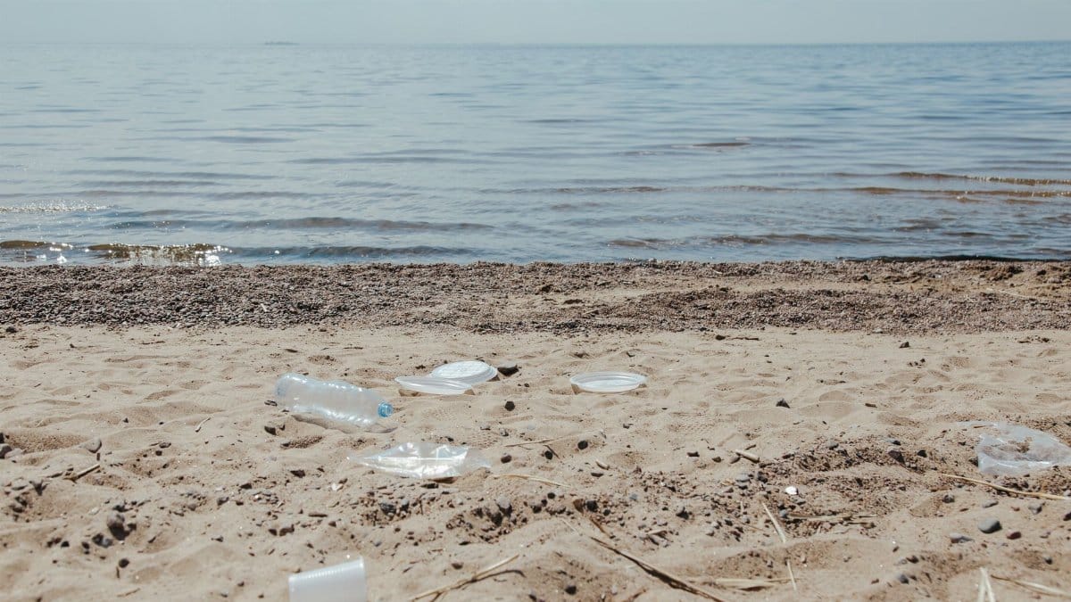 Image depicting plastic pollution and litter scattered along a sandy beach shore.