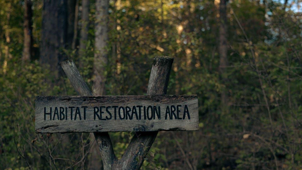 Wooden sign indicating a habitat restoration area in a forest setting.
