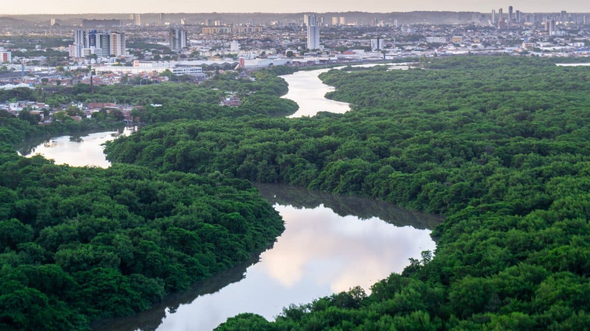 Stunning aerial view of Recife's cityscape and lush Capibaribe River, showcasing urban and natural beauty.