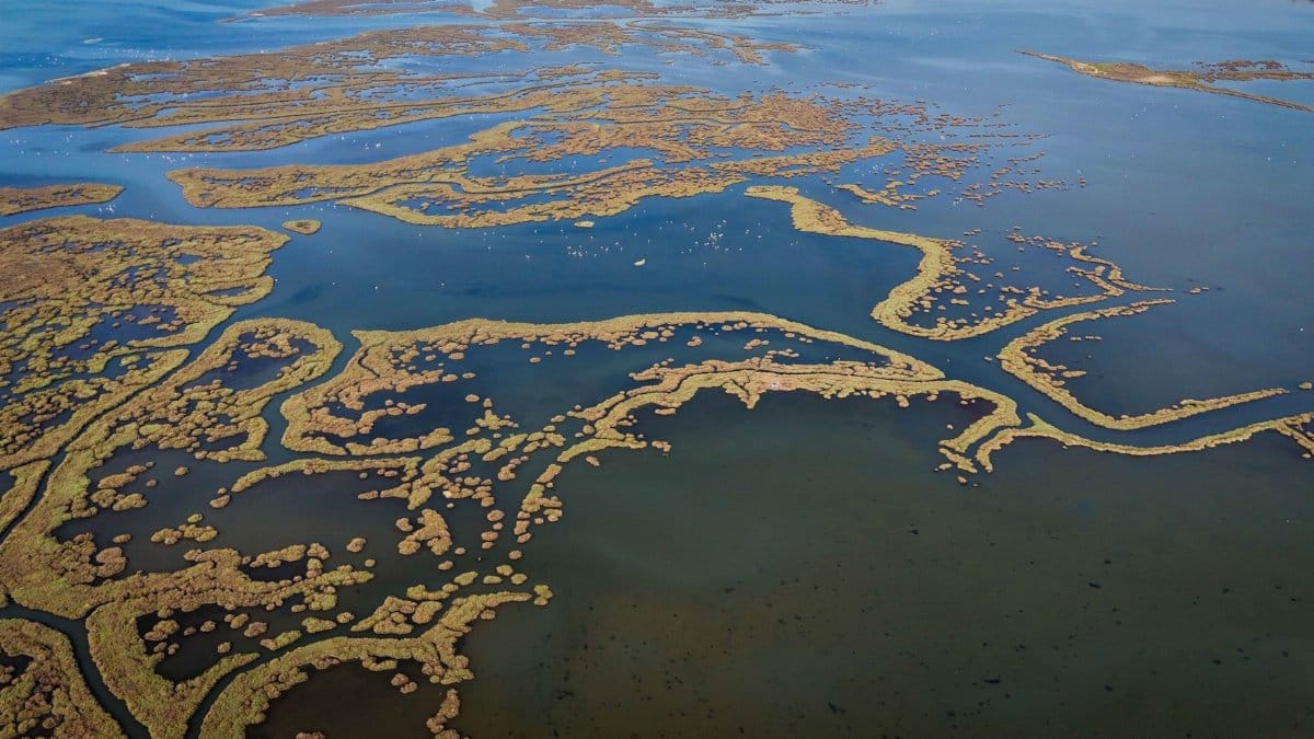 Stunning aerial capture of wetlands in İzmir, highlighting intricate waterways and lush flora.