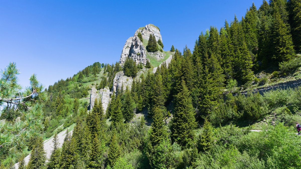 Breathtaking view of mountainous landscape in the Swiss Alps with lush greenery and blue skies.