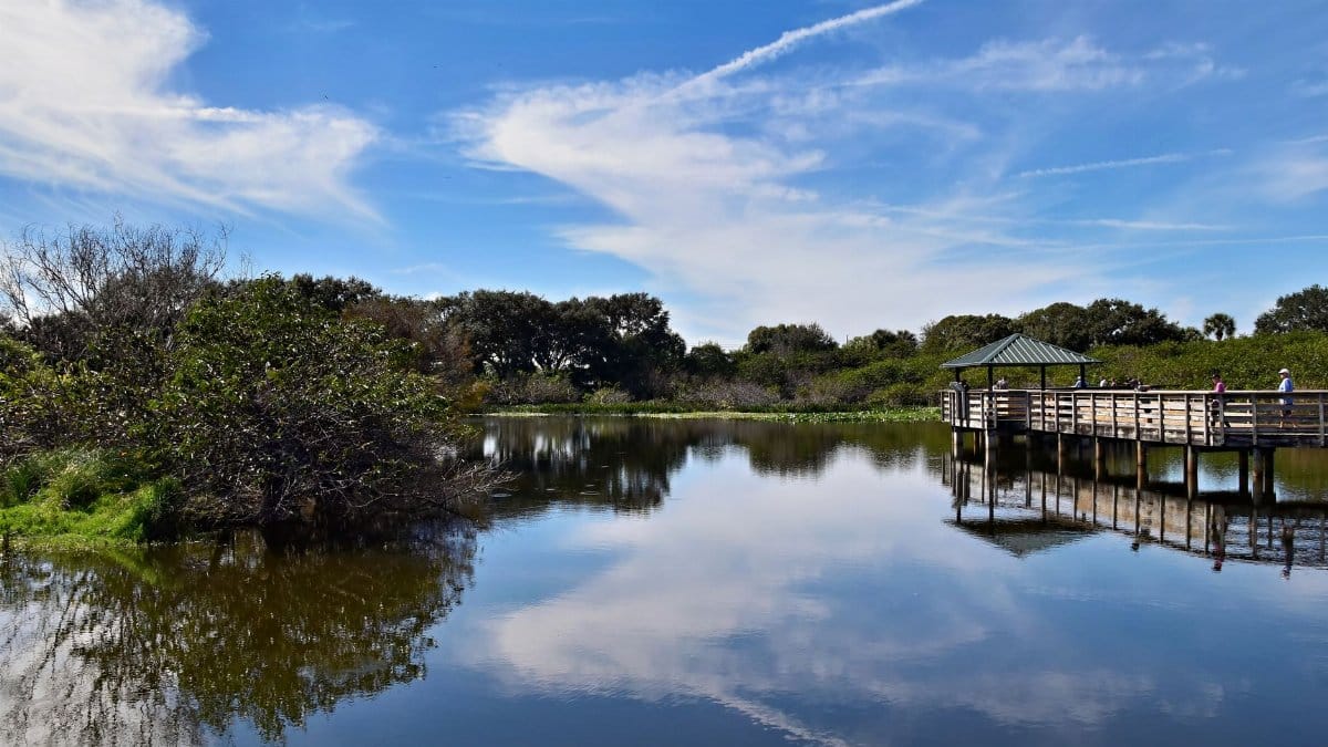 A tranquil scene of wetlands with a pier and blue sky reflection in Delray Beach, Florida.