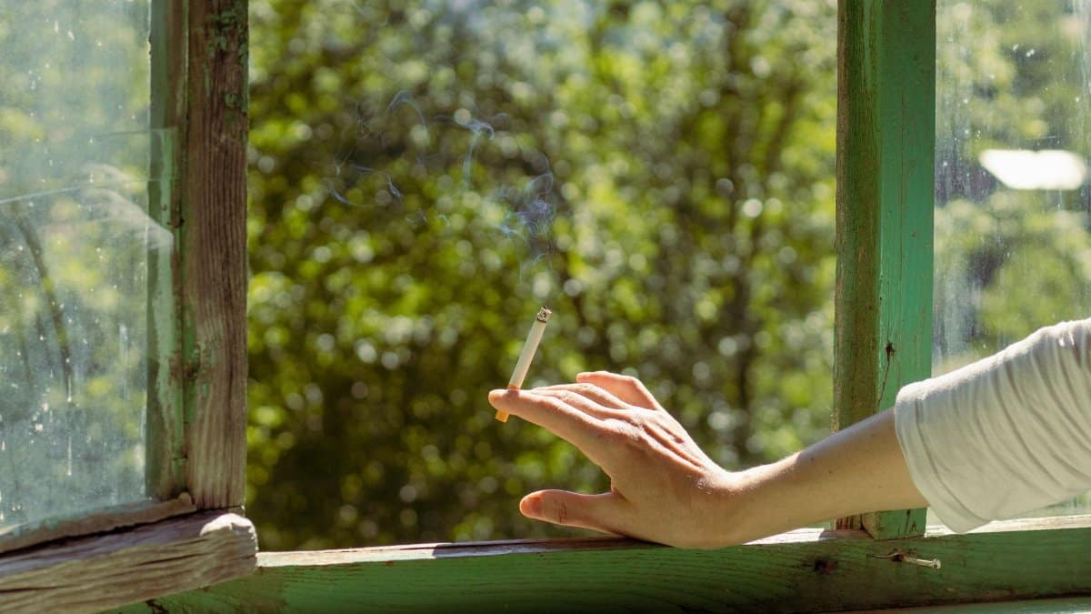 A hand holding a cigarette outside an open window on a sunny day, with greenery in the background.