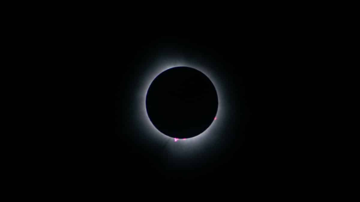Stunning view of a total solar eclipse with visible corona taken in Mansfield, OH.