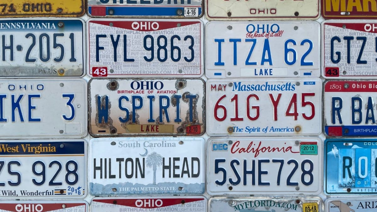 Colorful variety of license plates from different states arranged on a wall, showcasing unique designs.