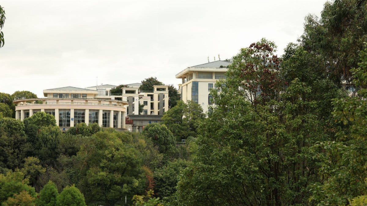 A scenic view of contemporary campus buildings amid lush greenery under an overcast sky.