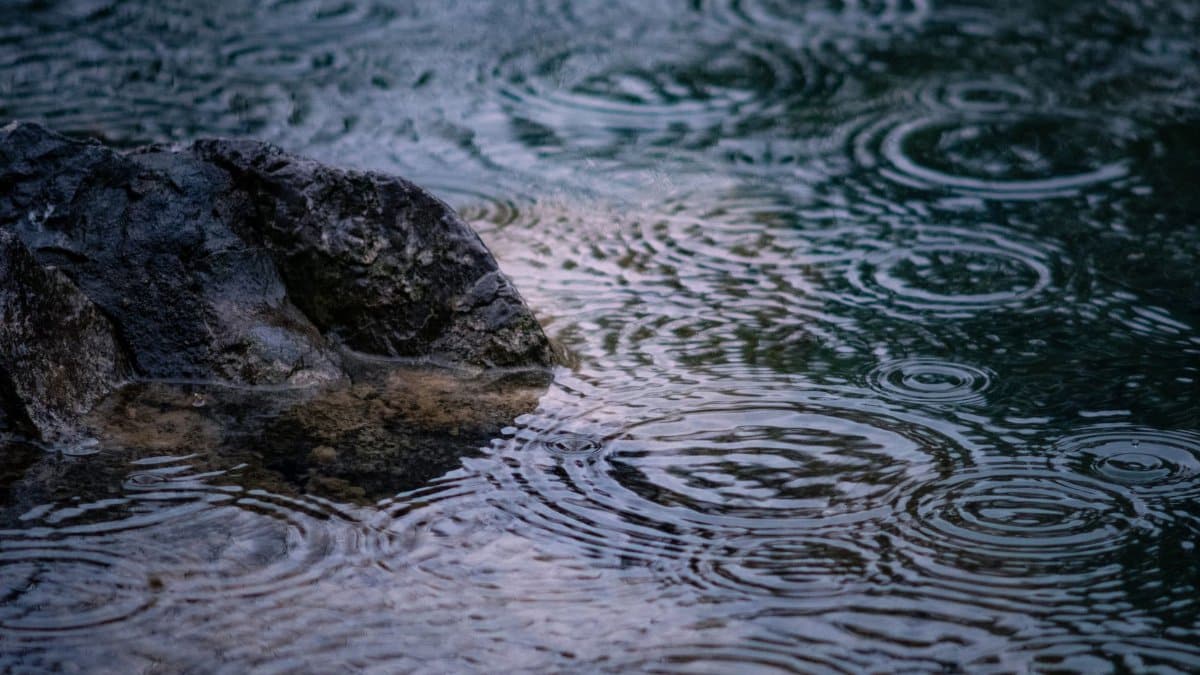 Raindrops create ripples on water near a rocky shore, showcasing serene nature.