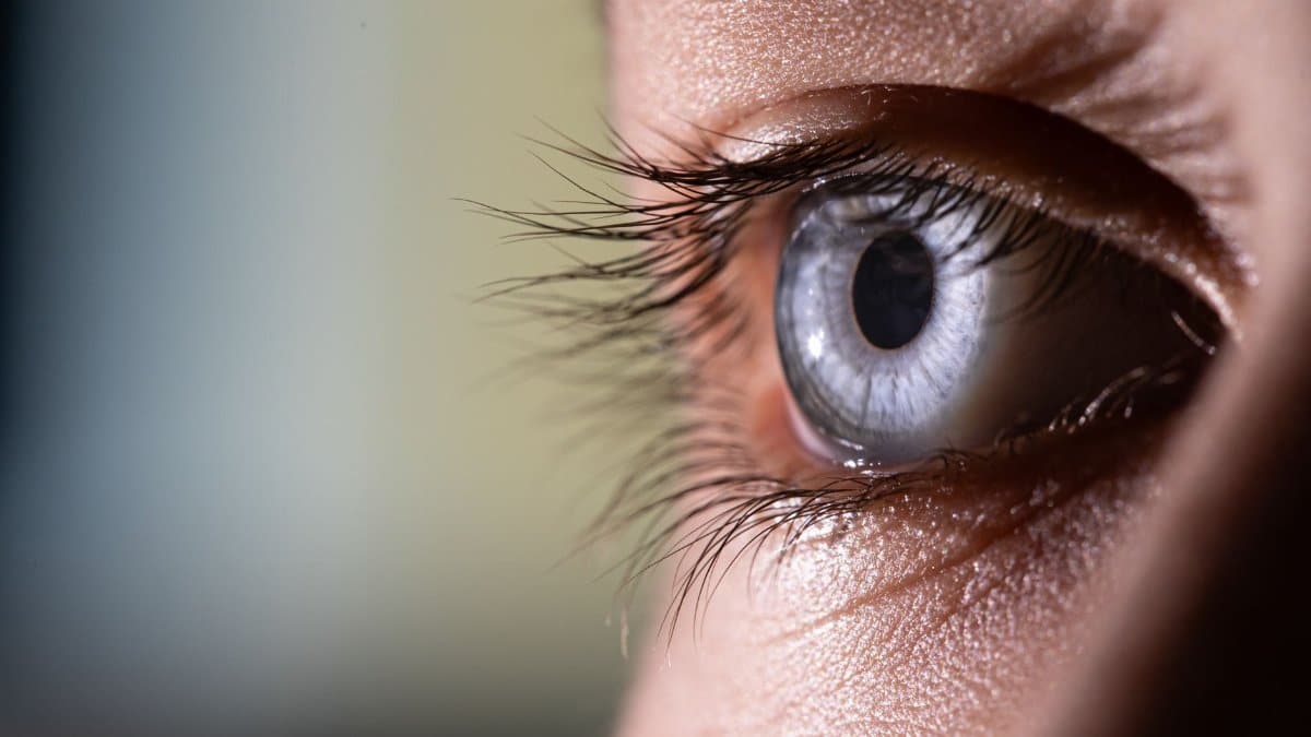 Macro shot of a blue eye highlighting intricate details of the eye and eyelashes.