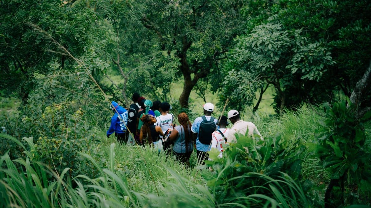 A diverse group of people enjoying a hike in a lush, green forest.