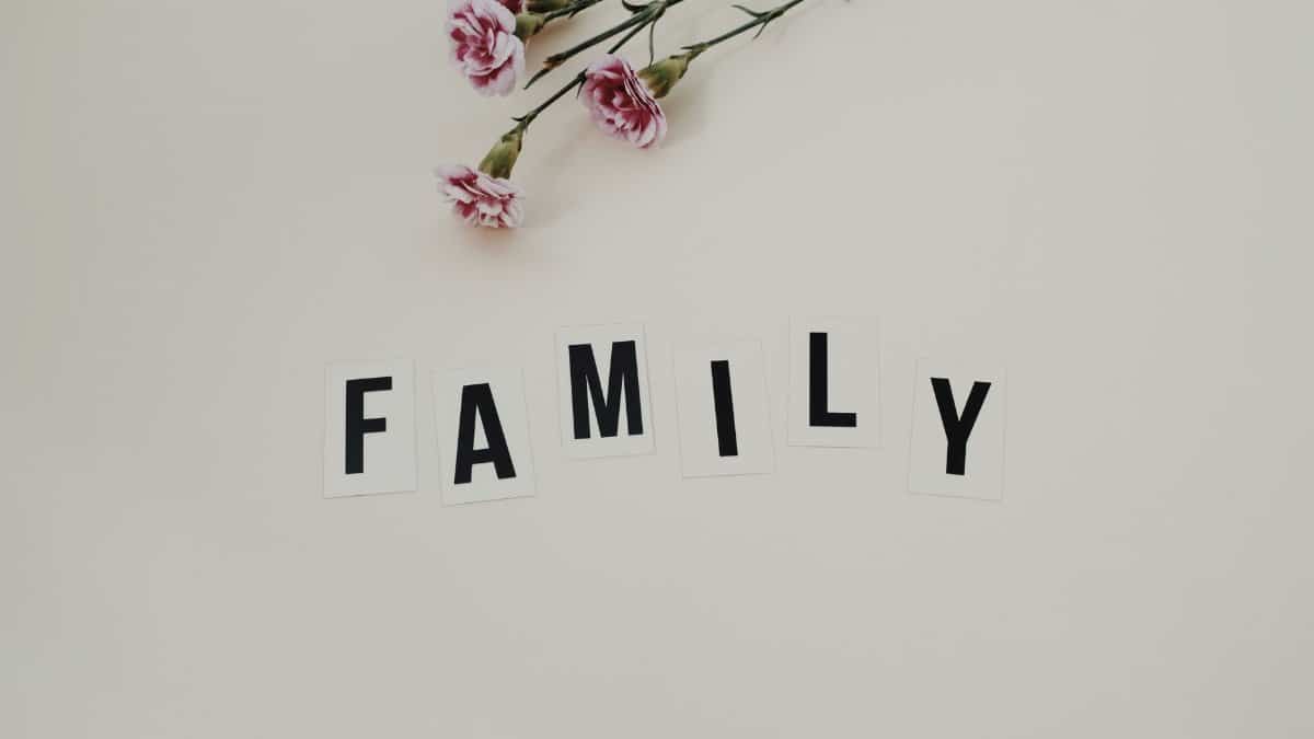 Elegant arrangement of pink flowers and family text on a white background, ideal for family themes.