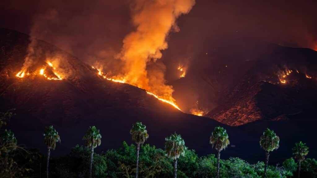 A powerful forest fire at night in Mentone, California with palm trees silhouetted.