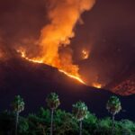 A powerful forest fire at night in Mentone, California with palm trees silhouetted.
