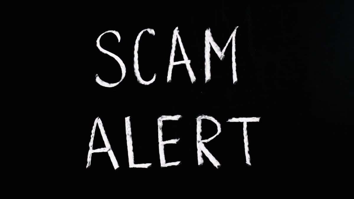 Blackboard with 'Scam Alert' written in white chalk, emphasizing a warning concept.