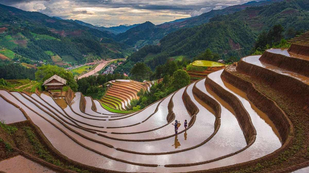 Beautiful terraced rice fields in Vietnam under dramatic skies with locals walking.