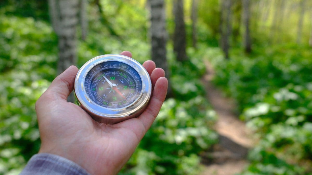 Close-up of a hand holding a compass in a lush green forest, guiding the way.