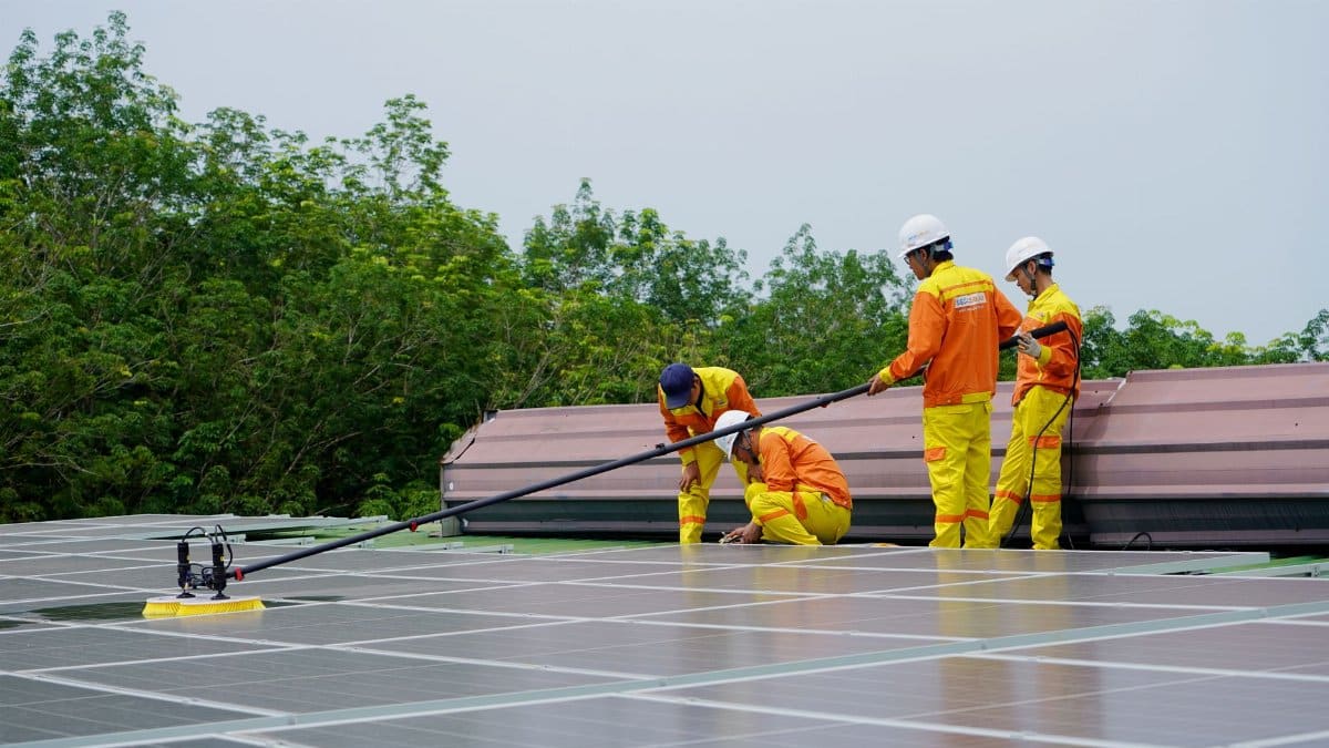 A team of workers cleaning solar panels on a sunny day, focusing on renewable energy maintenance.
