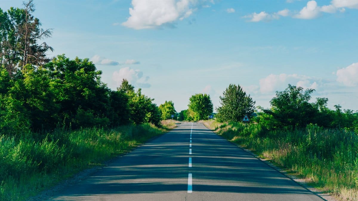 Peaceful countryside road lined with vibrant green trees under a blue sky.