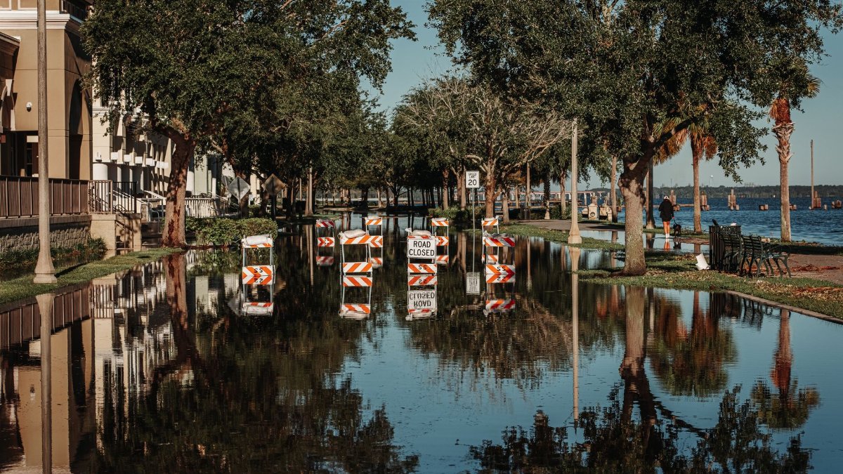 A flooded street with road closed signs reflecting in the water along a tree-lined sidewalk.