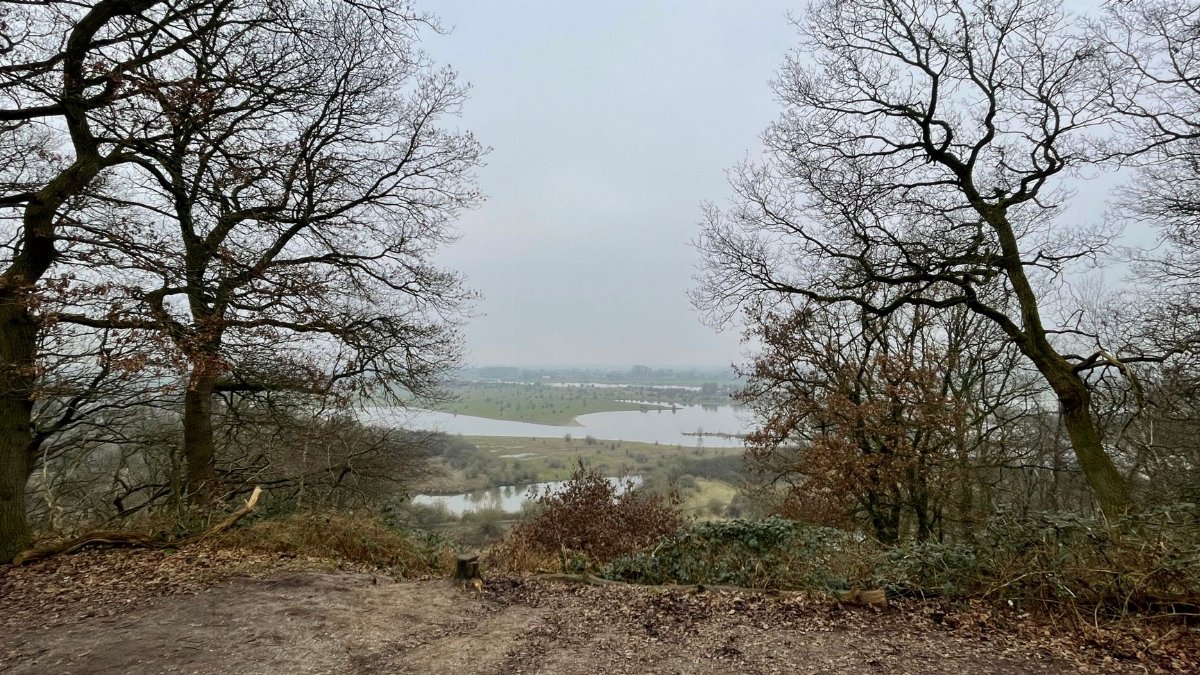 A serene winter landscape in Rhenen, Netherlands with leafless trees and a body of water.