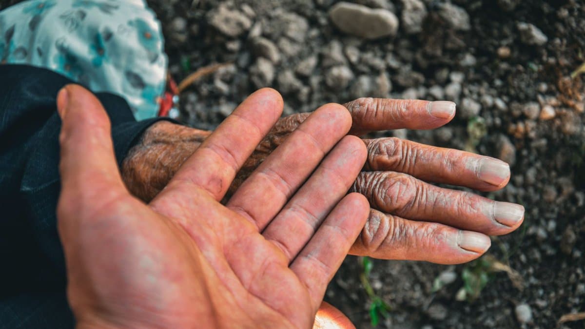 Close-up of young and old hands symbolizing generational connection and unity outdoors.